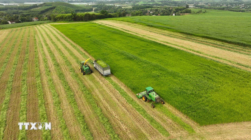 Chủ động triển khai các giải pháp thúc đẩy kinh tế tuần hoàn, sản xuất, tiêu dùng bền vững, thương mại bền vững đáp ứng các chính sách xanh của Liên minh châu Âu. (Ảnh minh họa: Vũ Sinh/TTXVN)