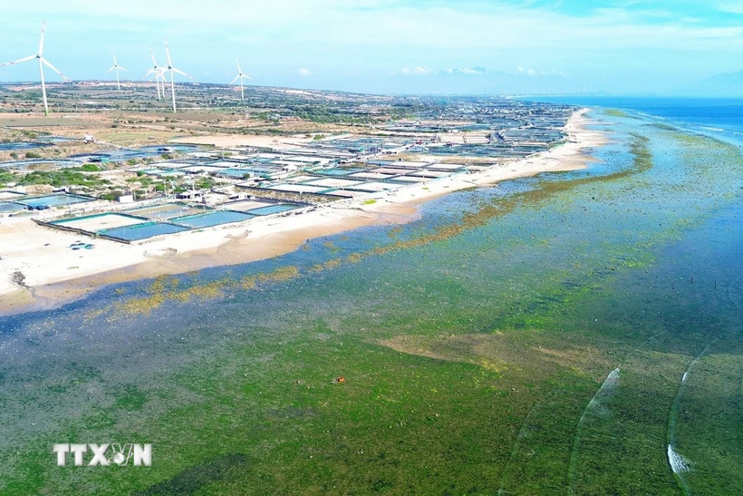 Huyện Thuận Nam, tỉnh Ninh Thuận, được chọn làm địa điểm xây dựng Nhà máy điện hạt nhân Ninh Thuận 1. (Ảnh: TTXVN)