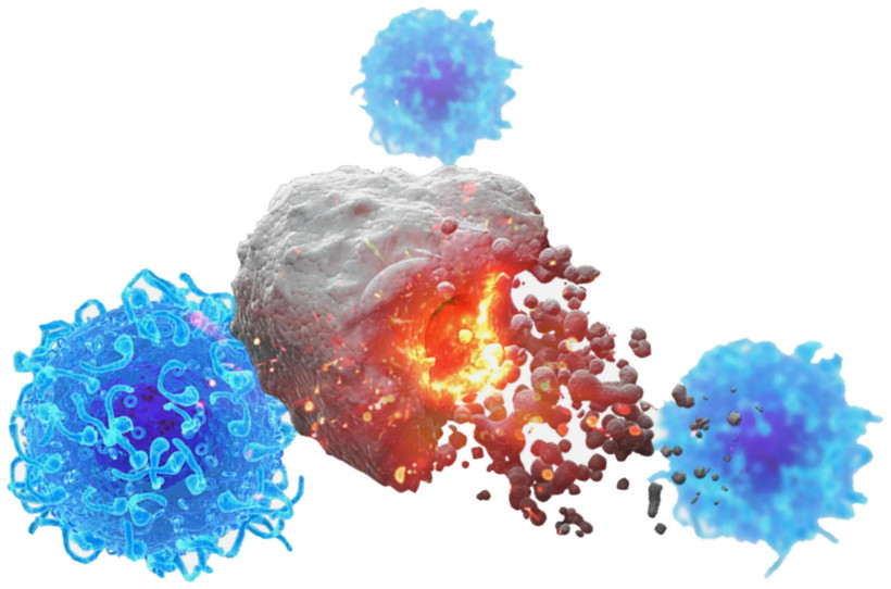 Nghiên cứu thành công vaccine "đa năng" chống nhiều loại ung thư. (Nguồn: scitechdaily)