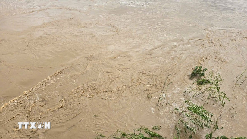 (Ảnh minh họa: Hương Thu/TTXVN)