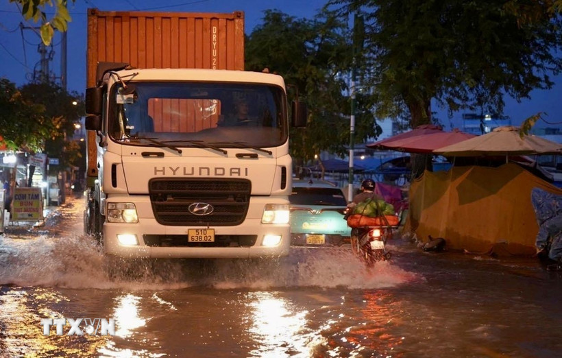 (Ảnh: TTXVN phát)