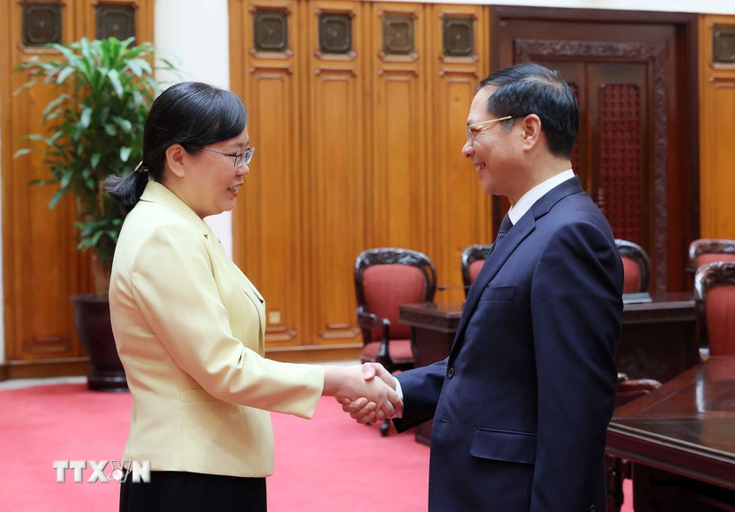 Phó Thủ tướng Bùi Thanh Sơn tiếp Phó Chủ tịch tỉnh Quảng Đông Trương Quốc Trí. (Ảnh: An Đăng/TTXVN)