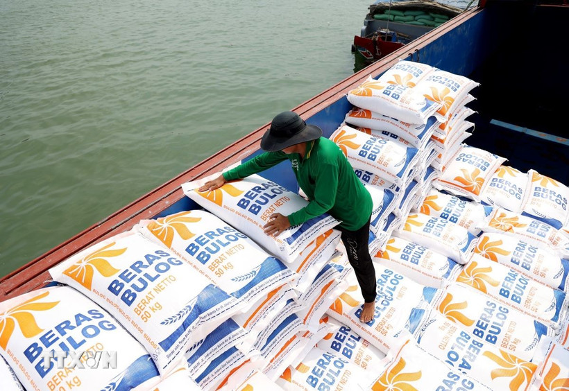 Gạo xuất khẩu tập kết xuống ghe ở tỉnh An Giang. (Ảnh: Hồng Đạt/TTXVN)