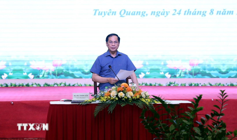 Phó Thủ tướng, Bộ trưởng Ngoại giao Bùi Thanh Sơn phát biểu tại buổi làm việc. (Ảnh: TTXVN phát)