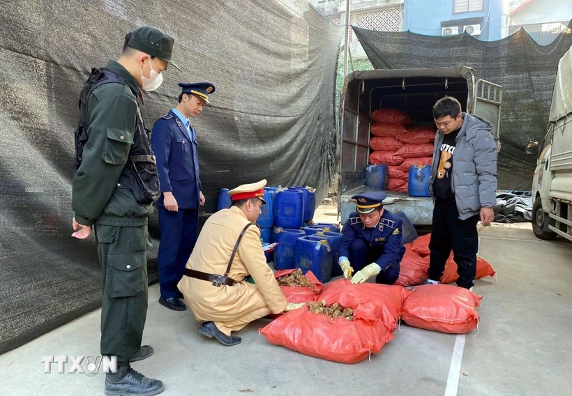 Lực lượng chức năng tỉnh Lạng Sơn kiểm tra số hàng 500kg chân giò lợn không rõ nguồn gốc xuất xứ. (Ảnh: TTXVN phát)