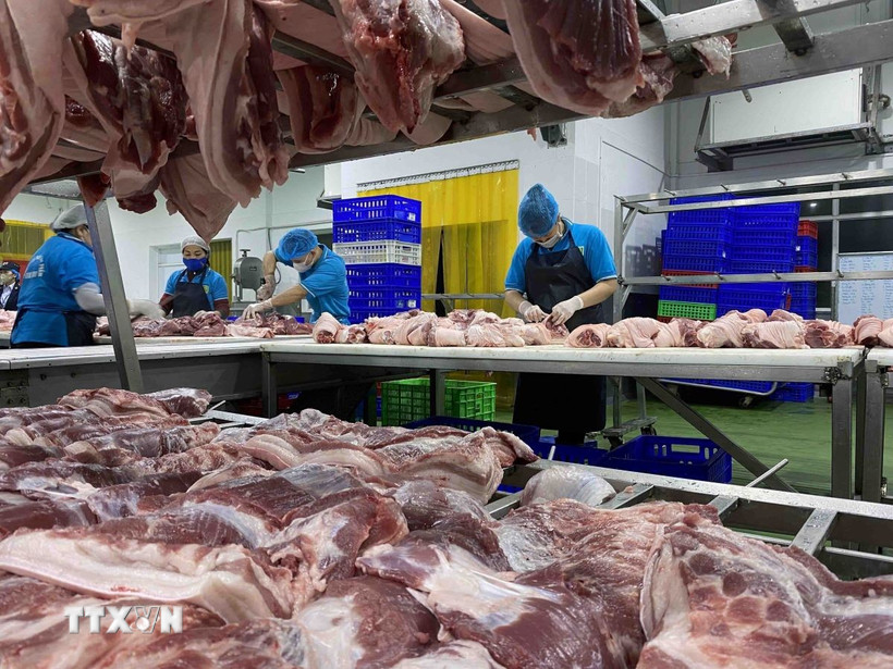 Bảo đảm an toàn thực phẩm dịp Tết Nguyên đán và Lễ hội xuân năm 2025. (Ảnh: Vũ Sinh/TTXVN)