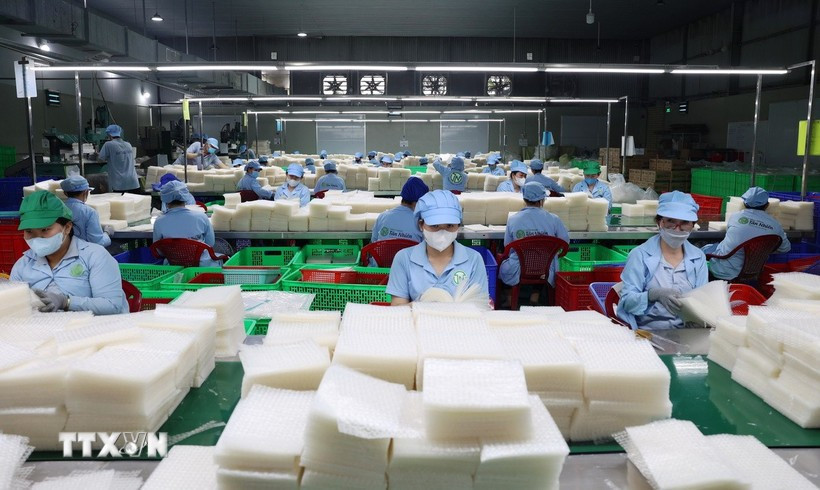 Hoạt động sản xuất tại một doanh nghiệp ở Tây Ninh. (Nguồn: TTXVN)