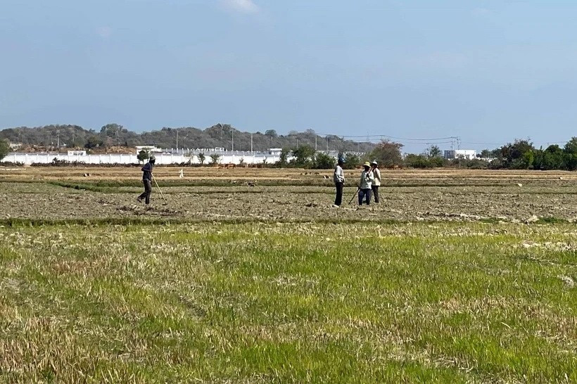 Đề nghị tiếp tục miễn thuế sử dụng đất nông nghiệp đến hết năm 2030.