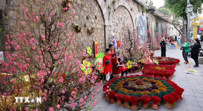 Ảnh minh họa. (Nguồn: TTXVN)