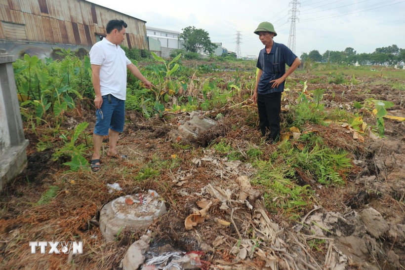 Mộ, mả bị hư hại trong quá trình cưỡng chế giải phóng mặt bằng Cụm công nghiệp Minh Hải 1. (Ảnh: Mạnh Khánh/TTXVN)
