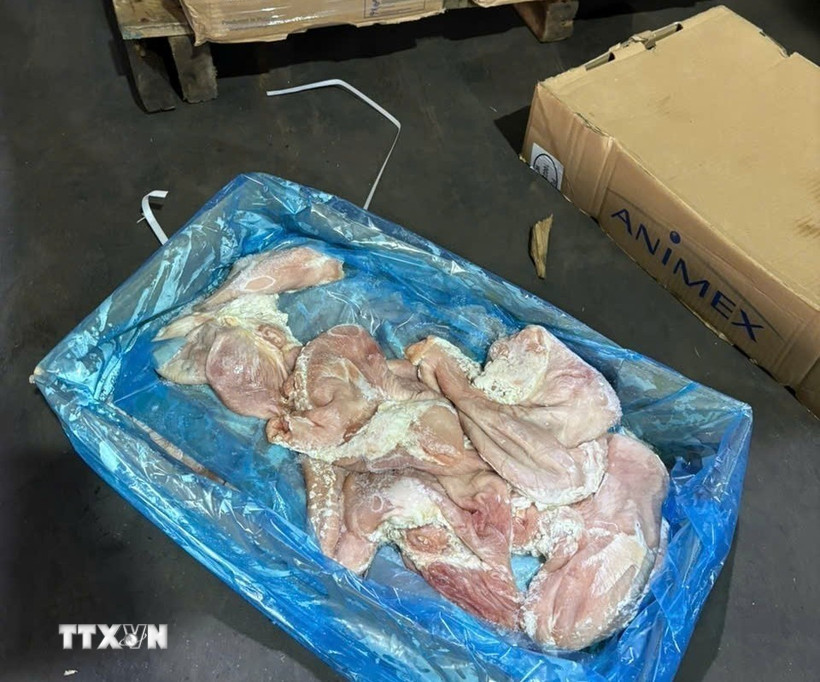 Thực phẩm không rõ nguồn gốc bị Công an phát hiện. (Ảnh: TTXVN phát)