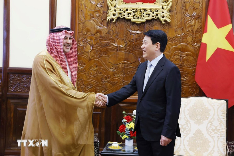 Chủ tịch nước Lương Cường tiếp Đại sứ Vương quốc Saudi Arabia tại Việt Nam Mohammed Ismaeil A. Dahlwy. (Ảnh: Lâm Khánh/TTXVN)