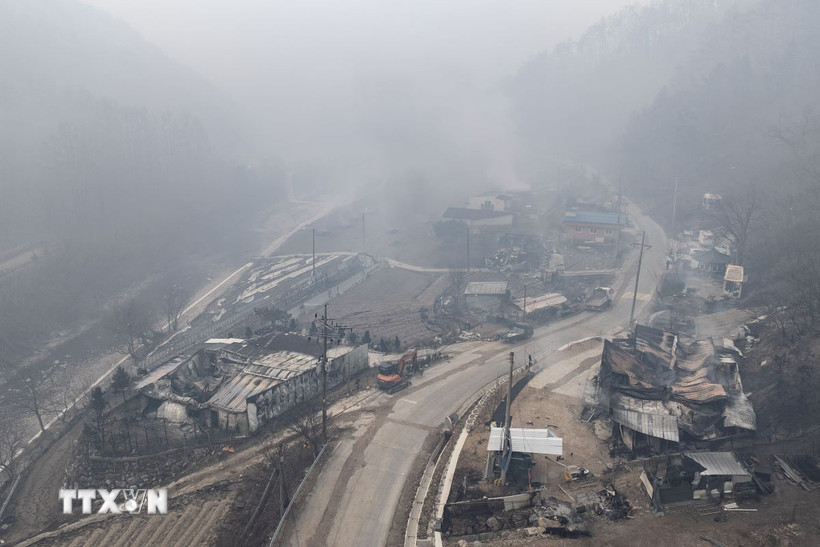 Ngôi làng bị thiêu rụi trong đám cháy rừng tại Yeongyang, tỉnh Bắc Gyeongsang, Hàn Quốc. (Ảnh: Yonhap/TTXVN)