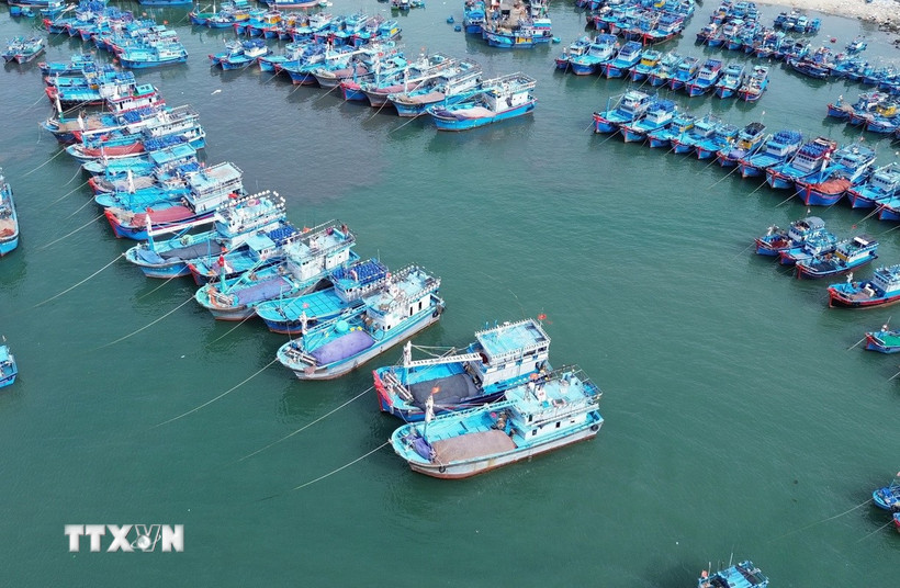 Ảnh minh họa. (Ảnh: Nguyễn Thành/TTXVN)