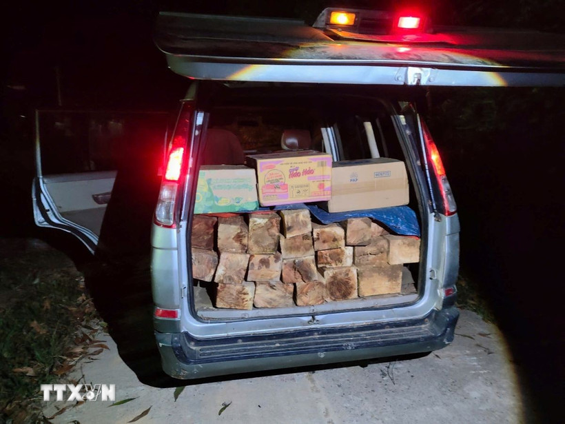 Xe vận chuyển gỗ trái phép trong đêm. (Ảnh: TTXVN phát)
