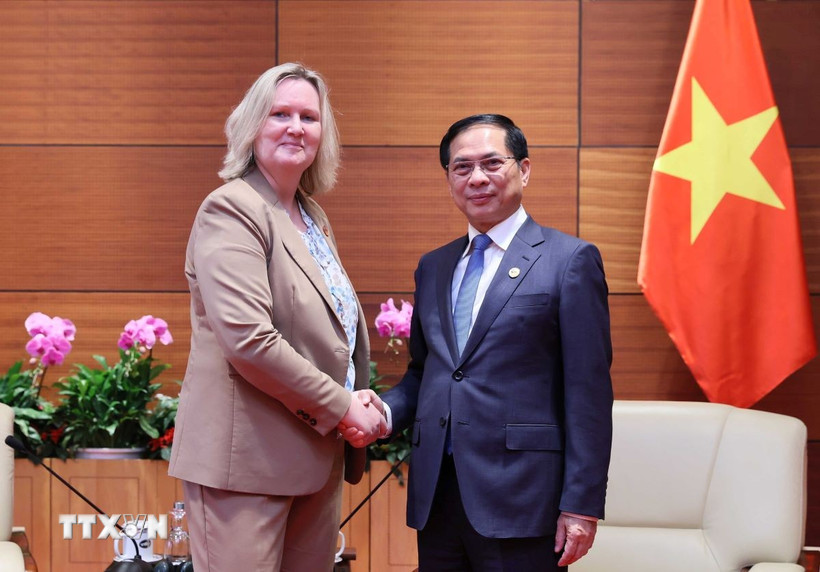 Phó Thủ tướng, Bộ trưởng Ngoại giao Bùi Thanh Sơn tiếp Quốc vụ khanh Bộ Ngoại giao Đan Mạch. (Ảnh: An Đăng/TTXVN)