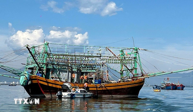 Bộ đội Biên phòng thành phố Đà Nẵng kiểm tra giấy tờ xuất bến của tàu cá. (Ảnh Trần Tĩnh/TTXVN)
