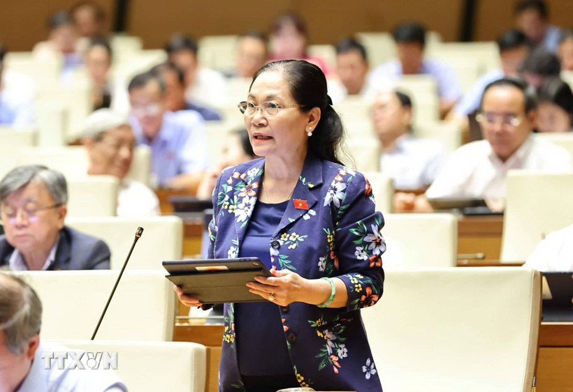 Đại biểu Quốc hội thành phố Hồ Chí Minh Nguyễn Thị Lệ phát biểu. (Ảnh: Minh Đức/TTXVN)