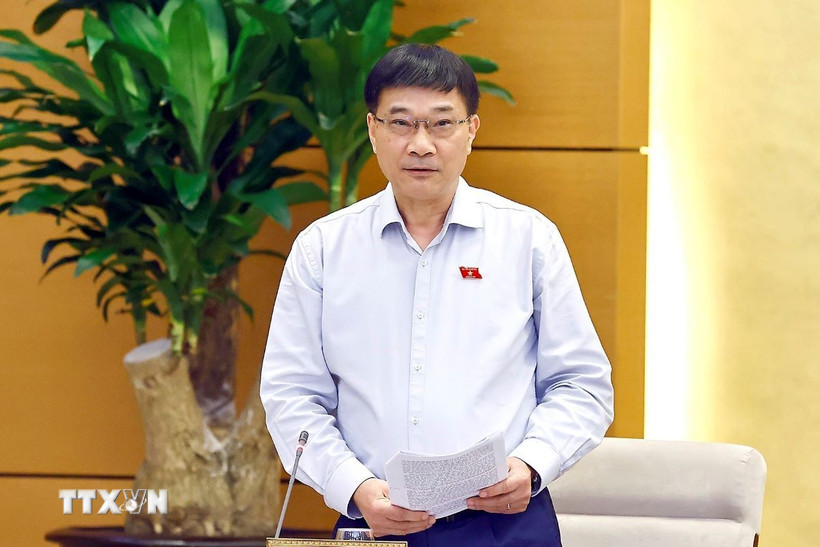 Phó Chủ tịch Quốc hội Vũ Hồng Thanh phát biểu. (Ảnh: Doãn Tấn/TTXVN)