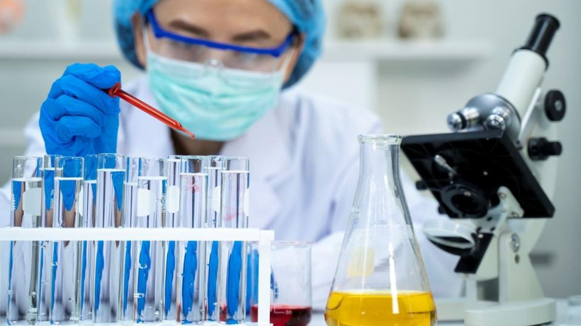 Ảnh minh họa. (Nguồn: Getty Images)