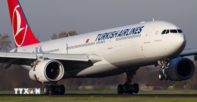 Turkish Airlines là một trong 6 hãng hàng không quốc tế bị Venezuela thu hồi giấy phép. (Ảnh: IRNA/TTXVN)