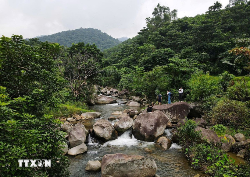 Khu vực trung tâm của bãi đá có hình khắc cổ nằm trên suối bao quanh là rừng rậm, những dãy đồi cao bao bọc cùng các thửa ruộng bậc thang. (Ảnh: Trọng Đạt/TTXVN)