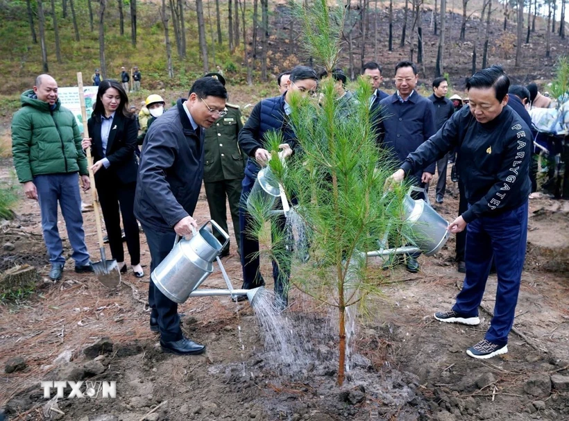 Phó Thủ tướng Trần Hồng Hà tham gia Tết trồng cây tại phường Phương Đông, thành phố Uông Bí, tỉnh Quảng Ninh. (Ảnh: TTXVN phát)