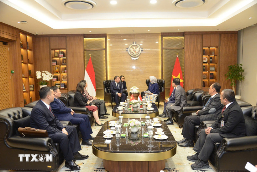 Quang cảnh buổi tiếp xã giao song phương. (Ảnh: TTXVN phát)