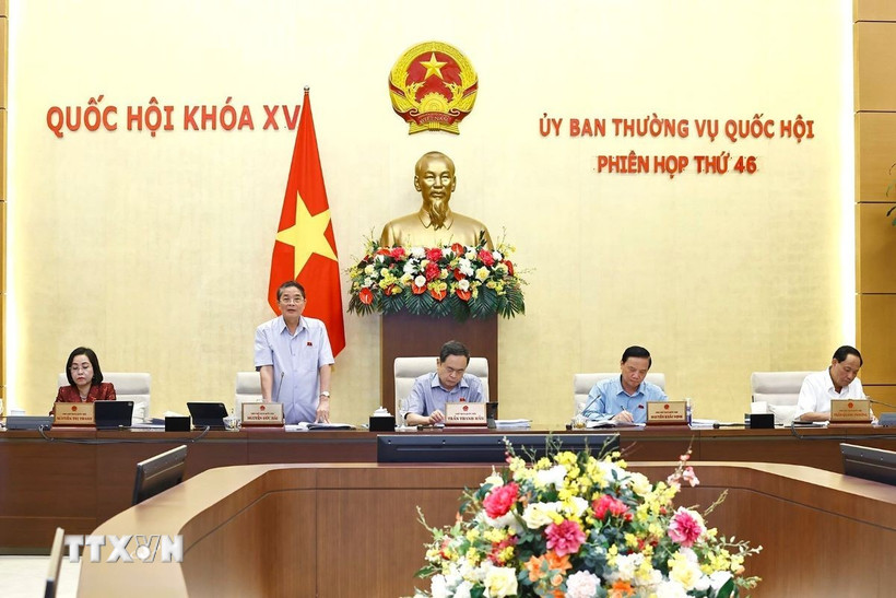 Phó Chủ tịch Quốc hội Nguyễn Đức Hải phát biểu. (Ảnh: Doãn Tấn/TTXVN)