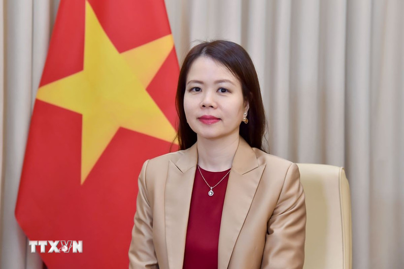 Thứ trưởng Bộ Ngoại giao Nguyễn Minh Hằng. (Ảnh: TTXVN phát)