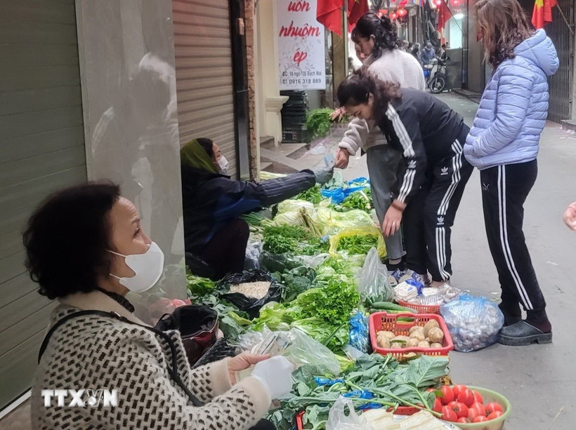 Các loại rau xanh dồi dào, giá ổn định, không tăng so với trước Tết. (Ảnh: Phương Anh/TTXVN)