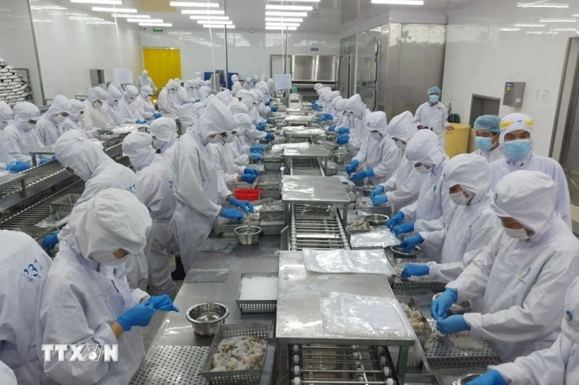 Thủy hải sản là một trong những mặt hàng Việt Nam xuất khẩu sang Belarus. (Ảnh: TTXVN phát)