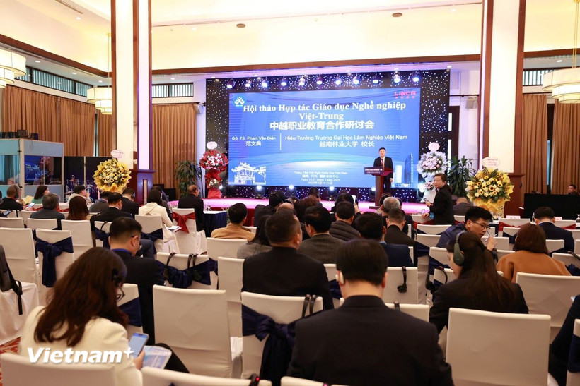 Quang cảnh Hội thảo Hợp tác Giáo dục nghề nghiệp Việt-Trung. (Ảnh: Hoàng Quang Hà/Vietnam+)