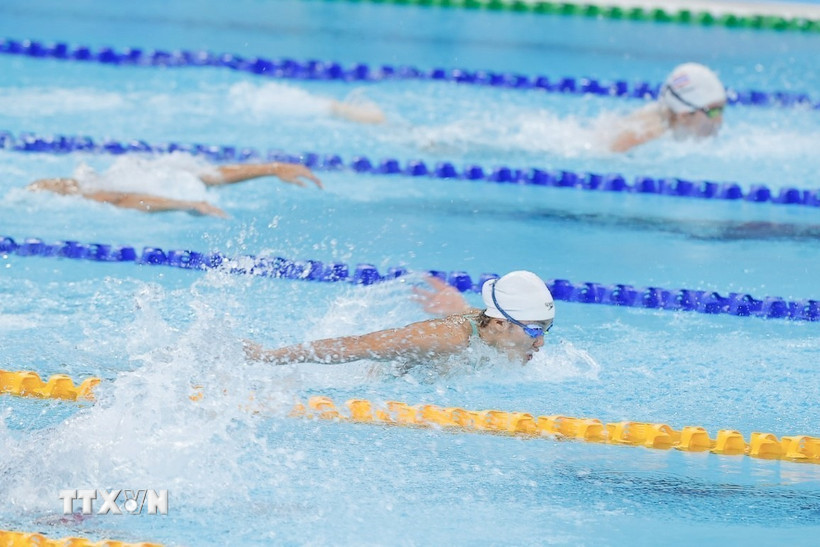 Bơi lội hứa hẹn sẽ tiếp tục giành huy chương Vàng trong ngày hôm nay. (Ảnh: Minh Quyết/TTXVN)