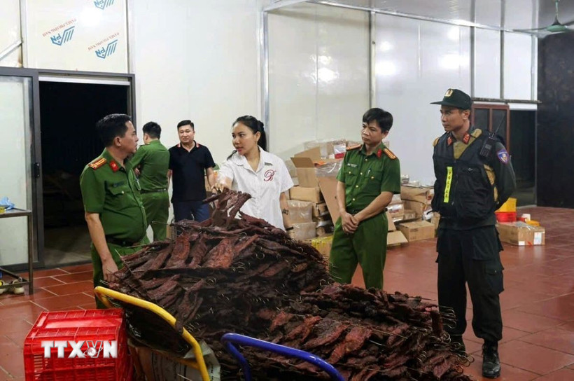 Hàng chục tấn thịt trâu, lợn tươi và thịt sấy không thành phẩm không đảm bảo vệ sinh an toàn thực phẩm chuẩn bị được đưa ra thị trường tiêu thụ. (Ảnh: TTXVN phát)