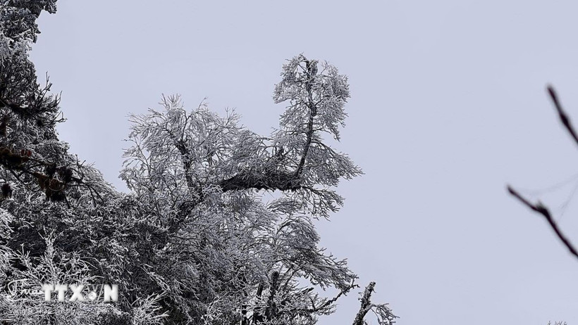 Vùng núi cao có khả năng xảy ra băng giá. (Ảnh: TTXVN phát)