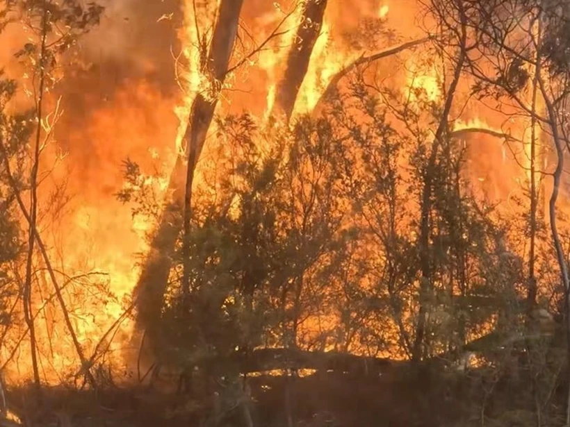 Cháy rừng ở bang Victoria, Australia.