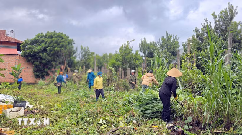 Người dân xã Biển Hồ tham gia dọn dẹp vệ sinh, thu gom cỏ dại, phế thải, góp phần phòng, chống dịch sốt xuất huyết. (Ảnh: Quang Thái/TTXVN)