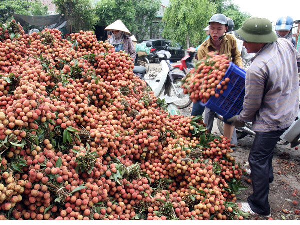 Bộ Công Thương dự báo có thể xuất siêu 500 triệu USD năm 2014 ảnh 1