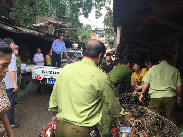 Thu giữ nhiều gia cầm không kiểm dịch ngay trong khu đông dân cư ảnh 2
