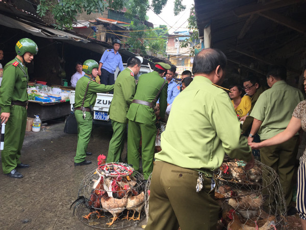 Thu giữ nhiều gia cầm không kiểm dịch ngay trong khu đông dân cư ảnh 1