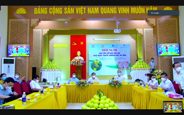 Lần đầu tiên bưởi Phúc Trạch lên gian hàng Việt trực tuyến quốc gia ảnh 1