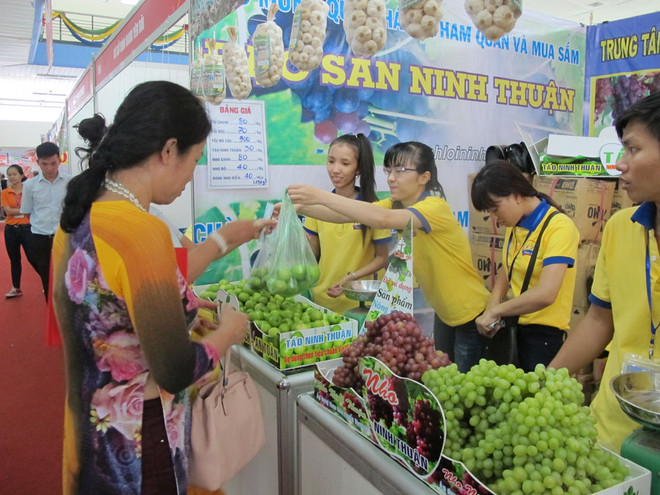 Xúc tiến thương mại quốc gia cần hướng tới hiệu quả của doanh nghiệp ảnh 1