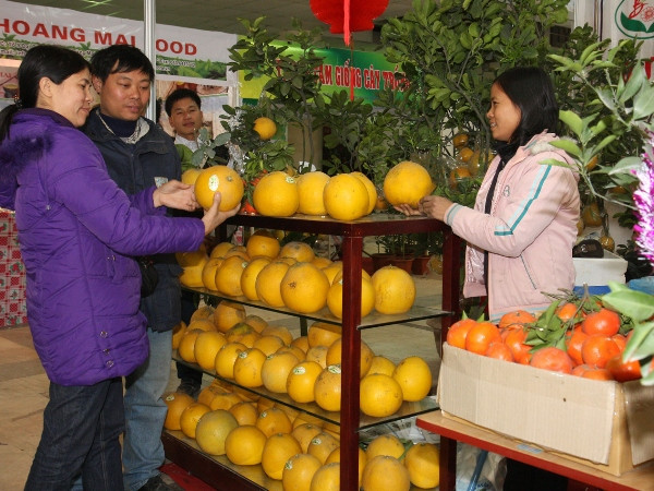 Nhiều đặc sản vùng miền sẽ góp mặt tại Hội chợ Xuân 2015 ảnh 1