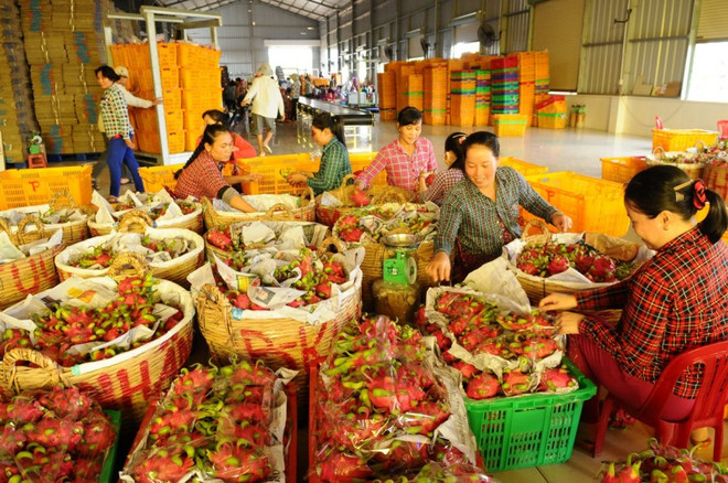 Tiêu dùng vẫn thắt chặt, xuất khẩu nhiều mặt hàng chủ lực đi xuống ảnh 3