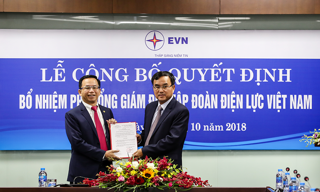 Ông Nguyễn Xuân Nam được bổ nhiệm giữ chức vụ Phó Tổng giám đốc EVN ảnh 1
