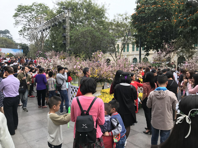 Doanh nghiệp đẩy mạnh dự trữ hàng hóa, bình ổn thị trường Tết ảnh 2