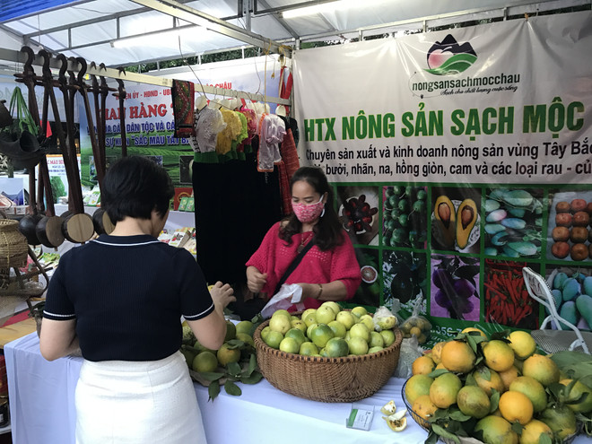 Hơn 1 triệu phiên giao thương trực tuyến được thực hiện năm 2020 ảnh 2