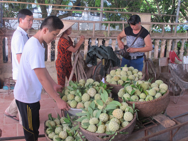 Lần đầu tiên quảng bá thương hiệu đặc sản vùng miền Hà Nội ảnh 2