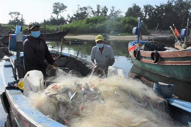 Đề xuất cân đối, bố trí ngân sách hỗ trợ giá xăng dầu cho ngư dân ảnh 1